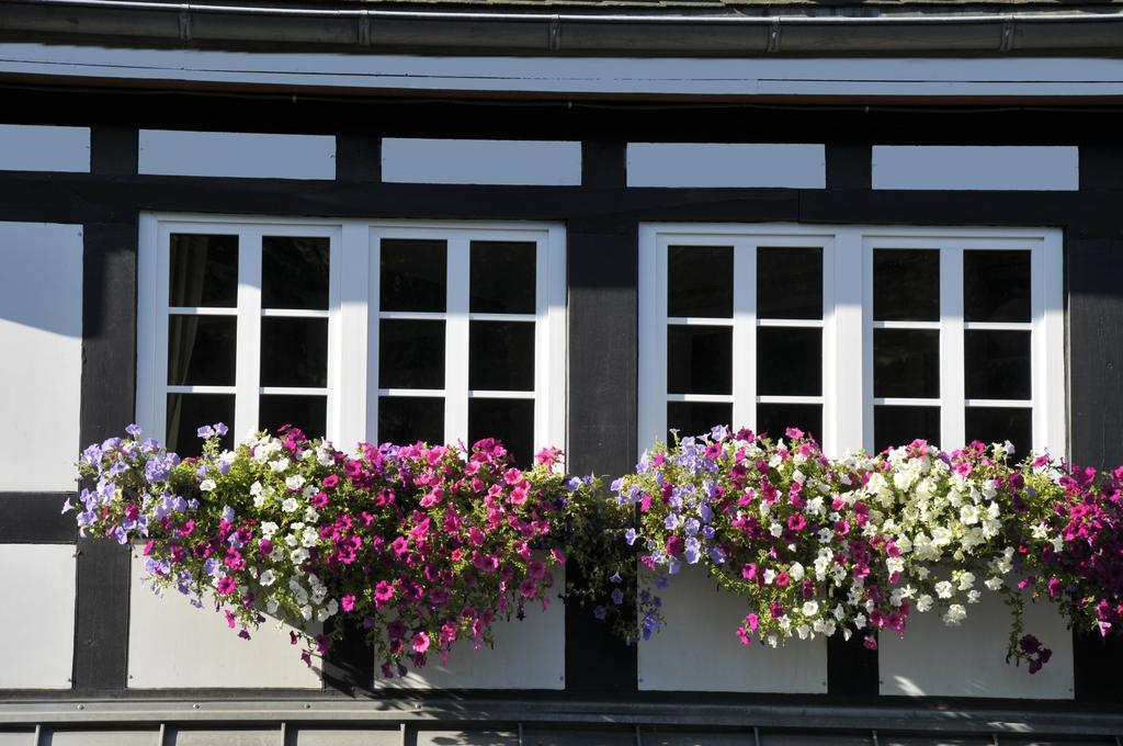 Landidyll Hotel Haus Hochstein Eslohe Extérieur photo